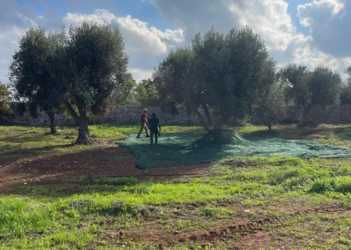 Trullo Ficoli * Ostuni