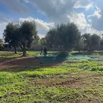 Trullo Ficoli * Ostuni